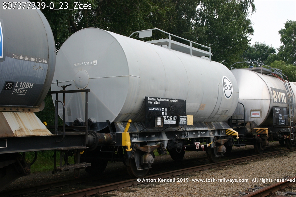 807377239-0_23_Zces.jpg